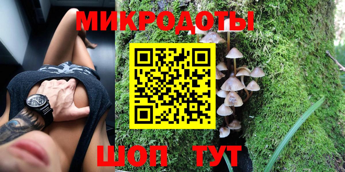 Псилоцибиновые грибы Psilocybine cubensis Пугачёв